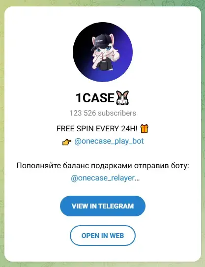 1кейс