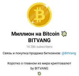 Миллион на Bitcoin 💸 Bitvang — отзывы и рейтинг