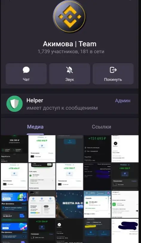 Акимова Team