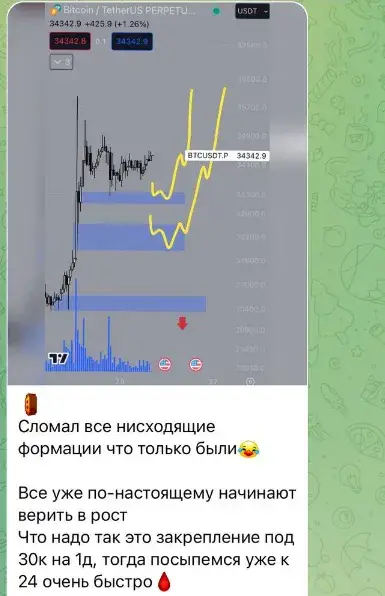 акулья гавань отзывы телеграмм канал