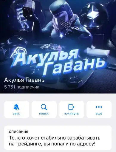 акулья гавань трейдер