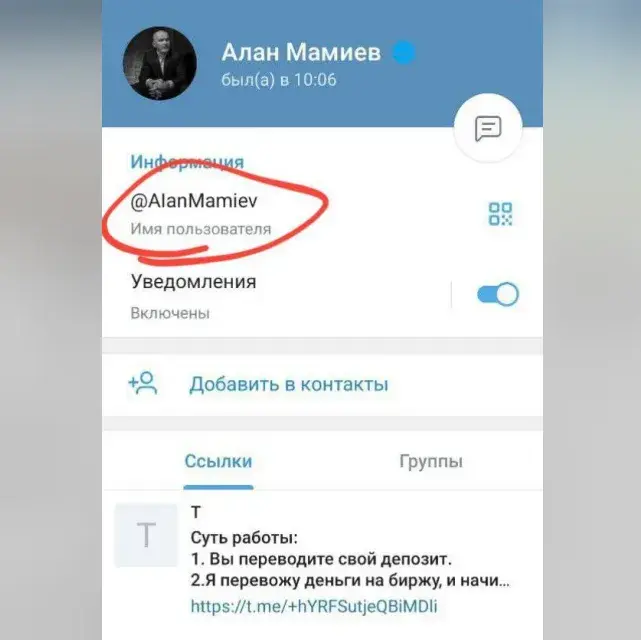 алан мамиев заработок денег на бирже отзывы