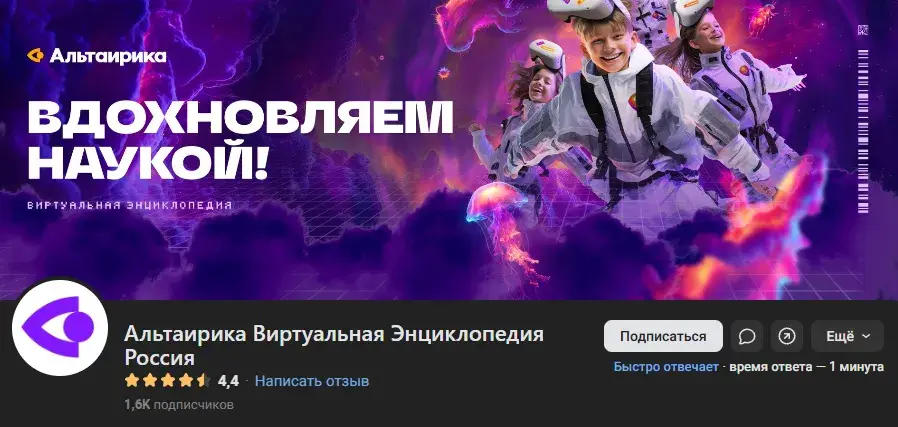 альтаирика франшиза отзывы