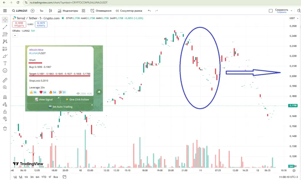 altcoincasino altcoincasino