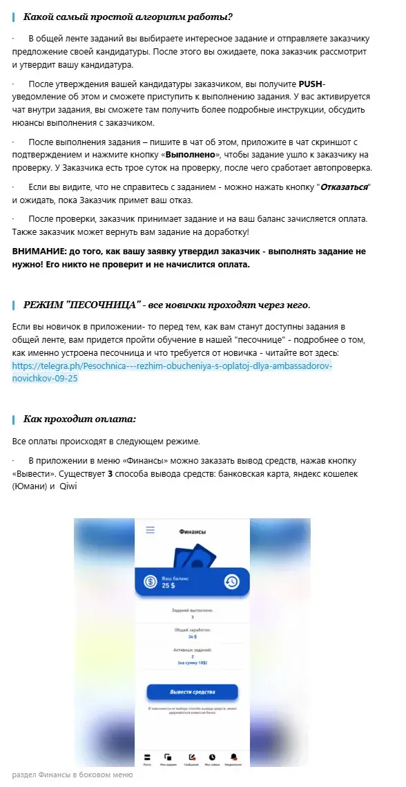 pr ambassador