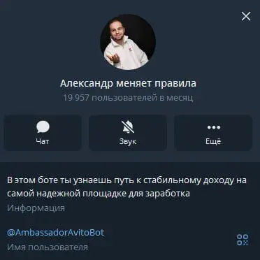 ambassadoravitobot