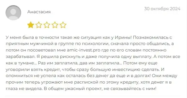 амик инвест про