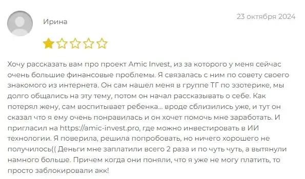 амик инвест