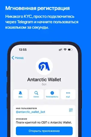 antarctic wallet news