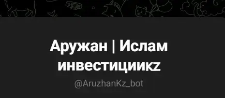 аружан ислам инвестиции аружан ислам инвестиции