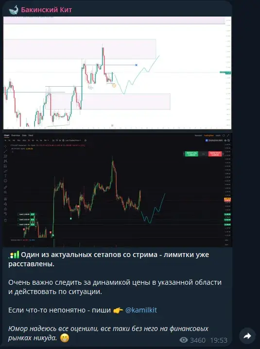 бакинский кит телеграмм канал