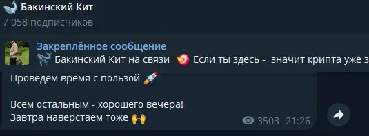 камиль керимов