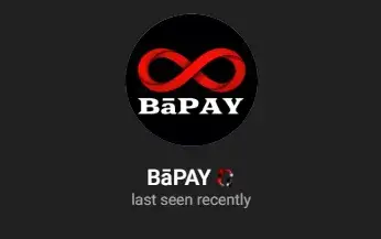 bapay отзывы bapay отзывы