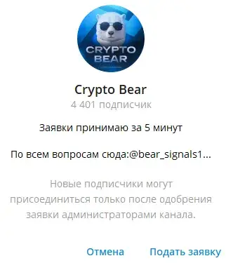 bearsignals