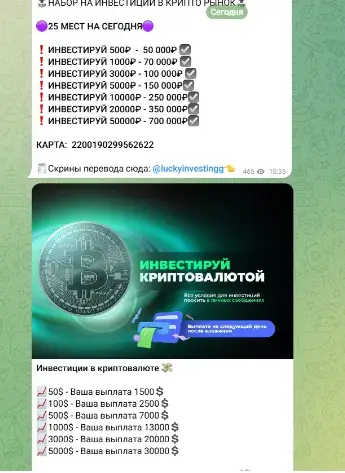 ип белоусова виктория леонидовна отзывы