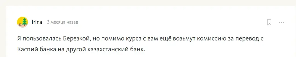 berezkapayments berezkapayments