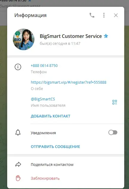 Bigsmart отзывы