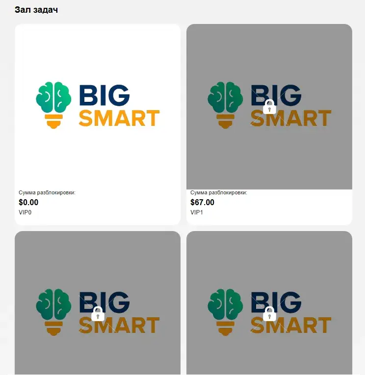 Bigsmart проект