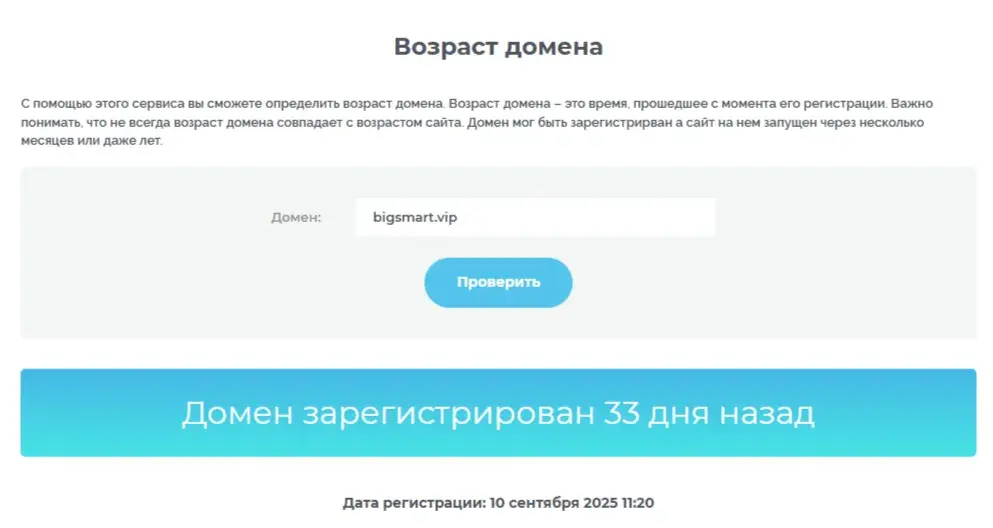 bigsmart vip отзывы