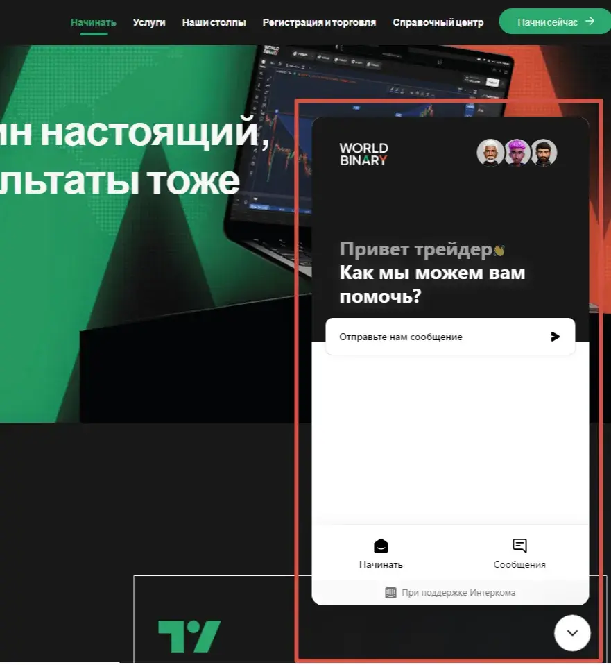 world binary отзывы