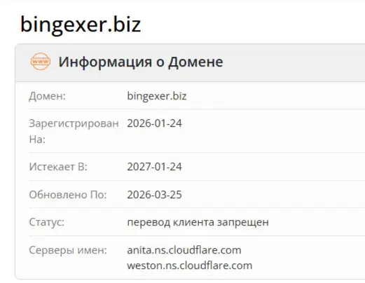 Бингексер
