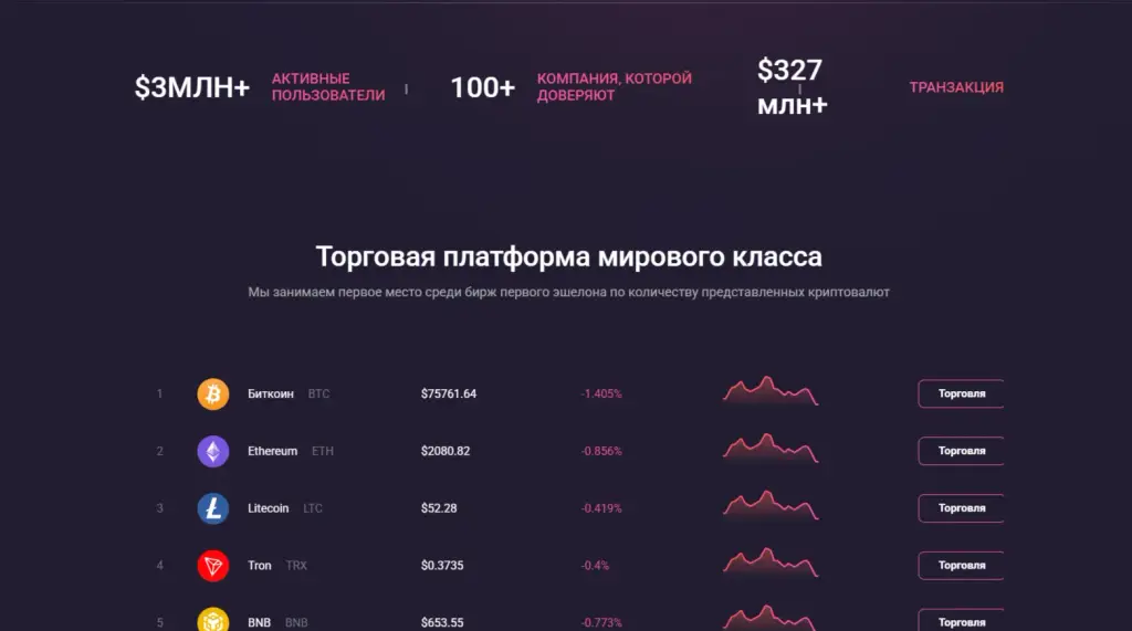 Bingexer отзывы