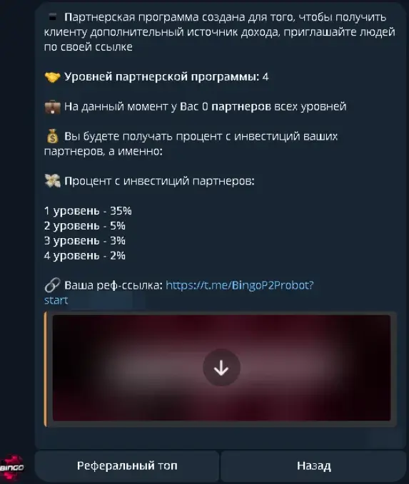 Bingo Робот Bingo Робот