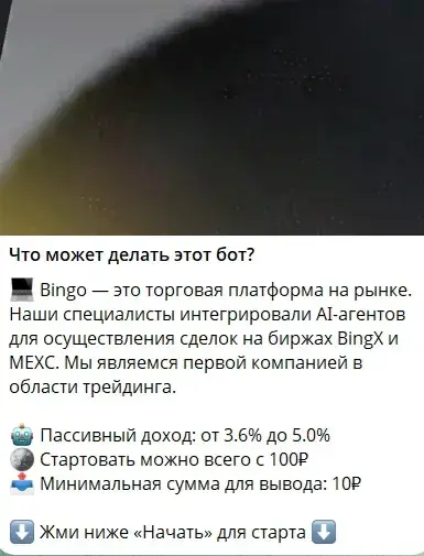 bingomaneger