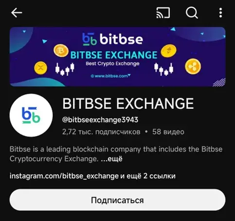 Bitbse Exchange Support
