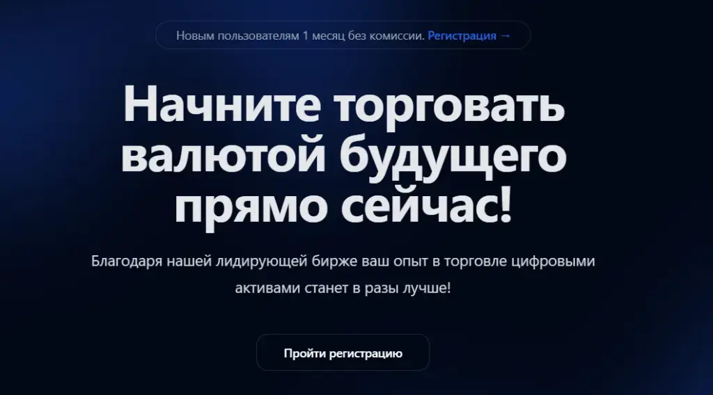 bitfintrade com