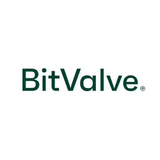 Bitvalve P2p Crypto Exchange — отзывы и рейтинг
