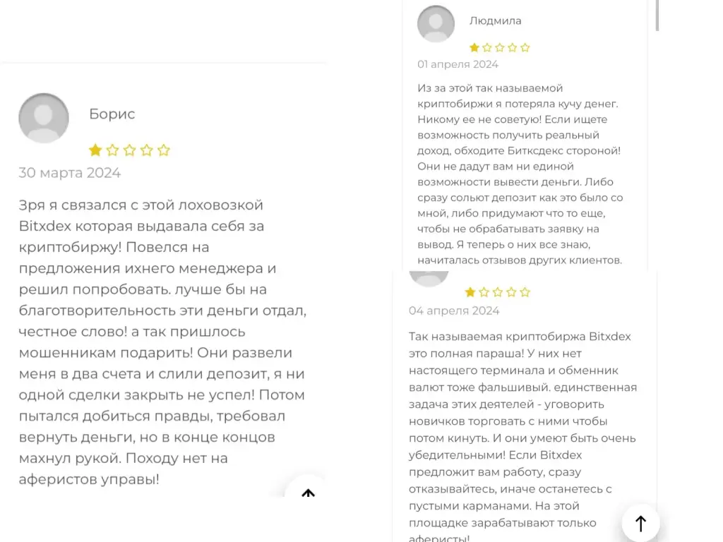 bitxdex