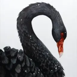 Blackswan Blackswan — отзывы и рейтинг