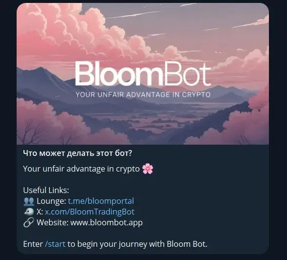 bloom solana bot