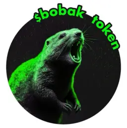 Bobak Meme — отзывы и рейтинг