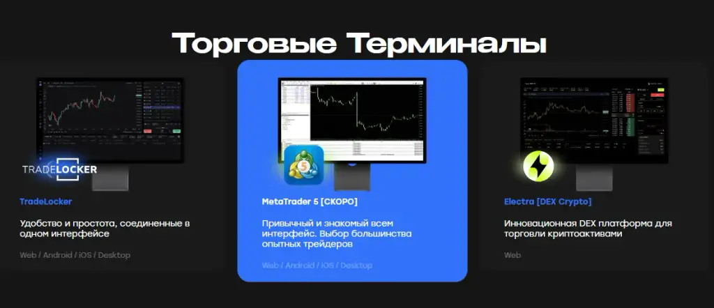 bold fund отзывы