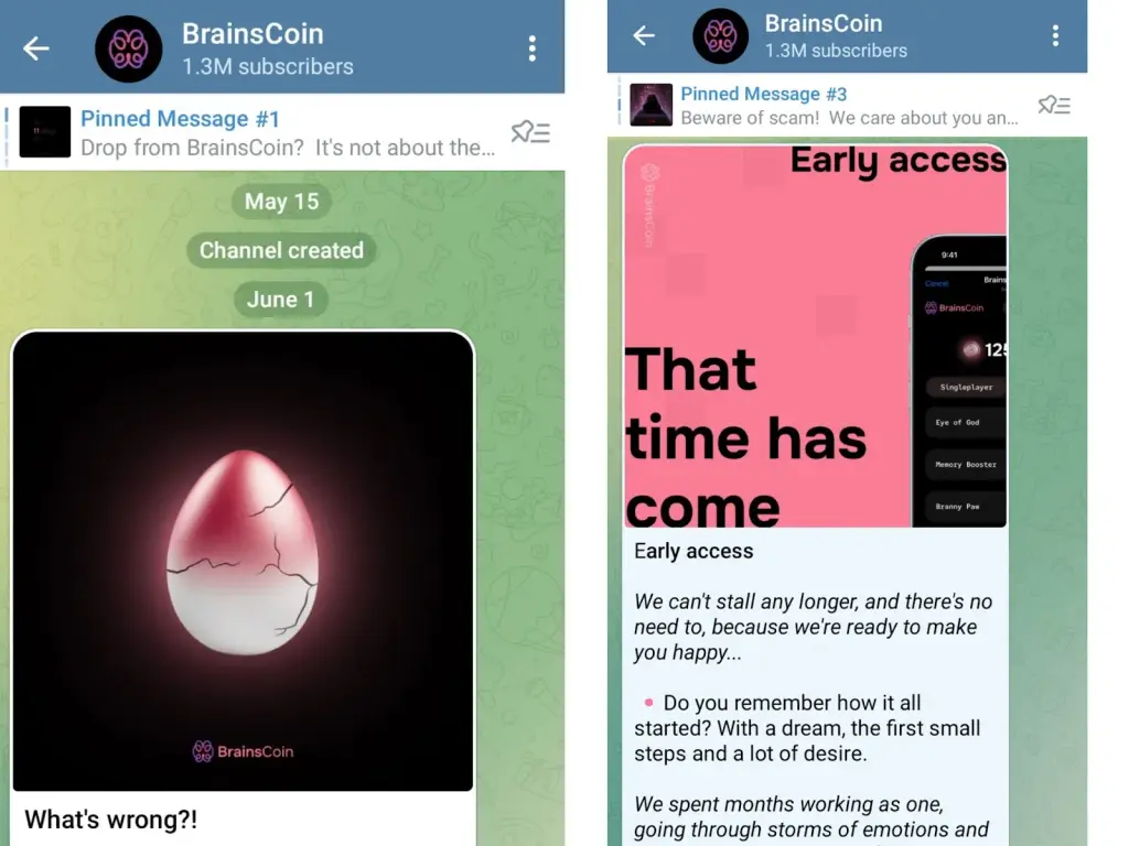 Brains Coin