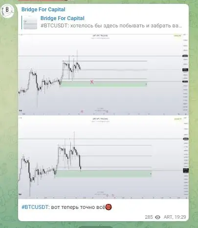 Проект Bridge for capital