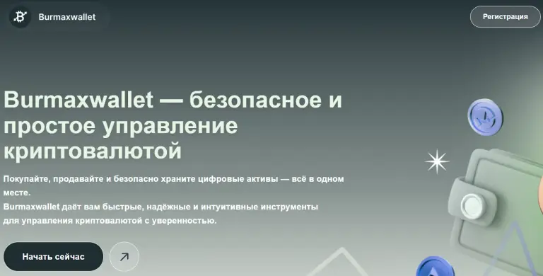 burmax wallet