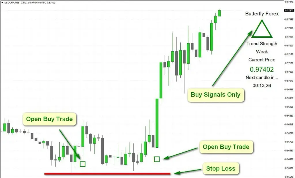 butterfly forex