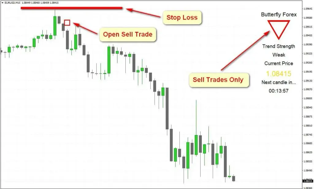 butterfly forex отзывы