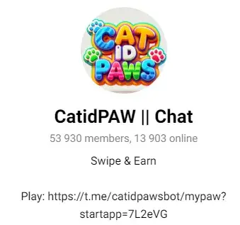Cat Id Paws daily combo Cat Id Paws daily combo