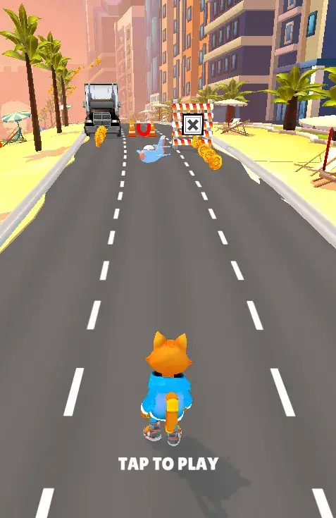 Catflip Academy