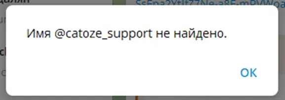 Catoze отзывы
