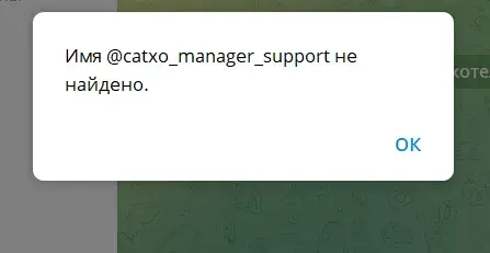 catxo отзывы