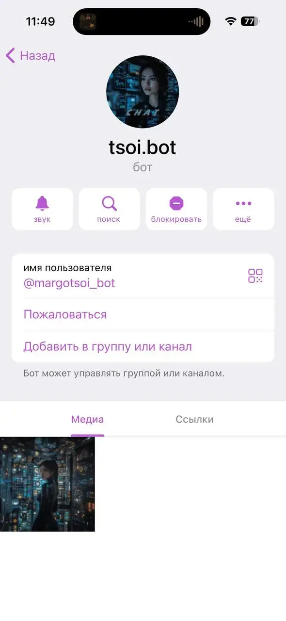 чат марго цой
