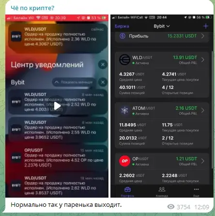 Че По Профитам