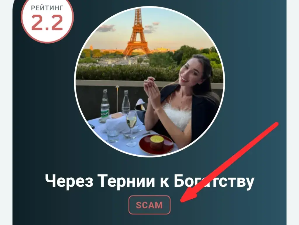через тернии к богатству