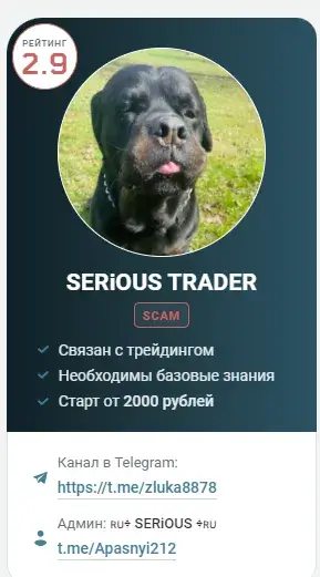 чёткий трейдер отзывы заработок
