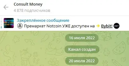 consult money